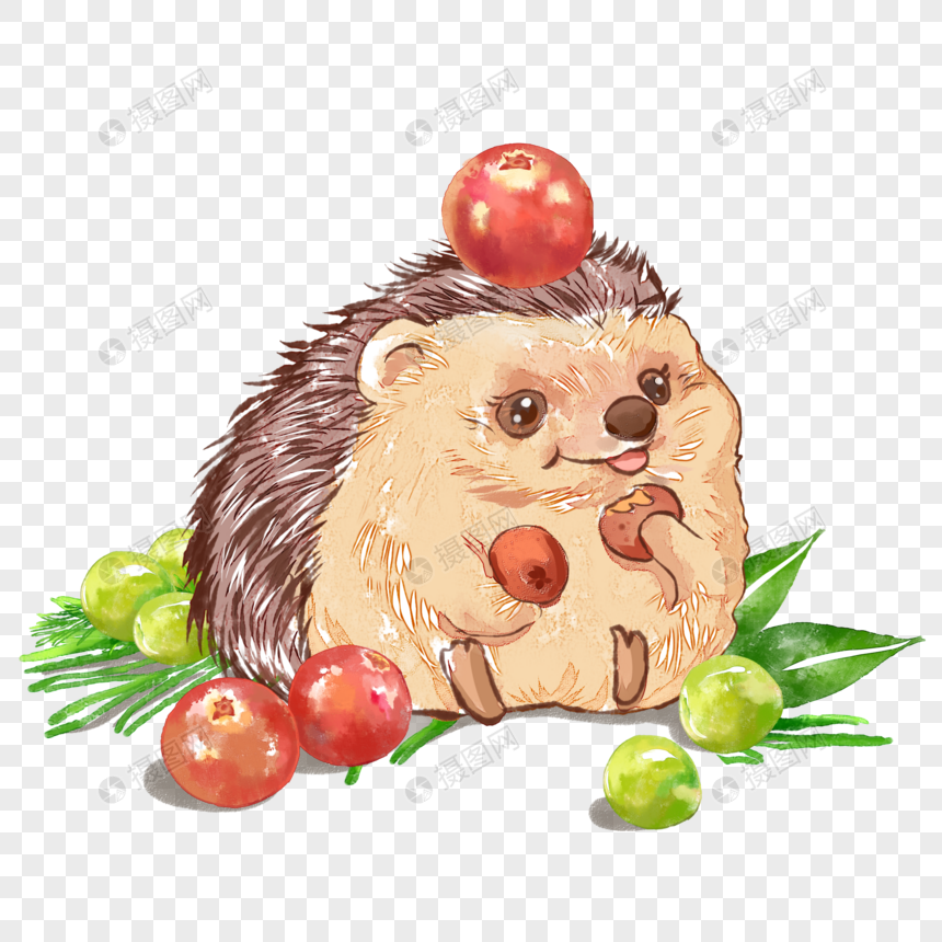 大号刺猬苹果版下载(大号刺猬苹果版下载安卓)-第9张图片-有道翻译官网