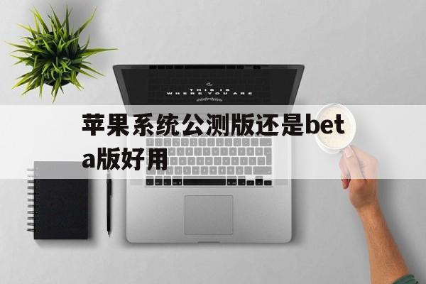 苹果系统公测版还是beta版好用的简单介绍-第8张图片-有道翻译官网