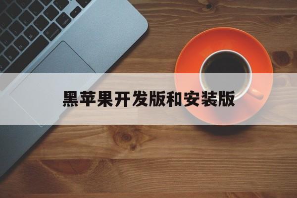 黑苹果开发版和安装版(黑苹果开发版和安装版哪个好)-第7张图片-有道翻译官网 黑苹果开发版和安装版(黑苹果开发版和安装版哪个好)-第7张图片-有道翻译官网